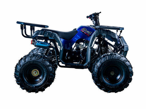 Thumbnail: ATV RIDER 10 125cc