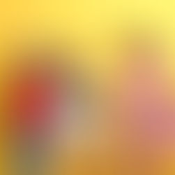 우리 아이도 받을 수 있을까요? 워싱턴주 IEP 교육이란