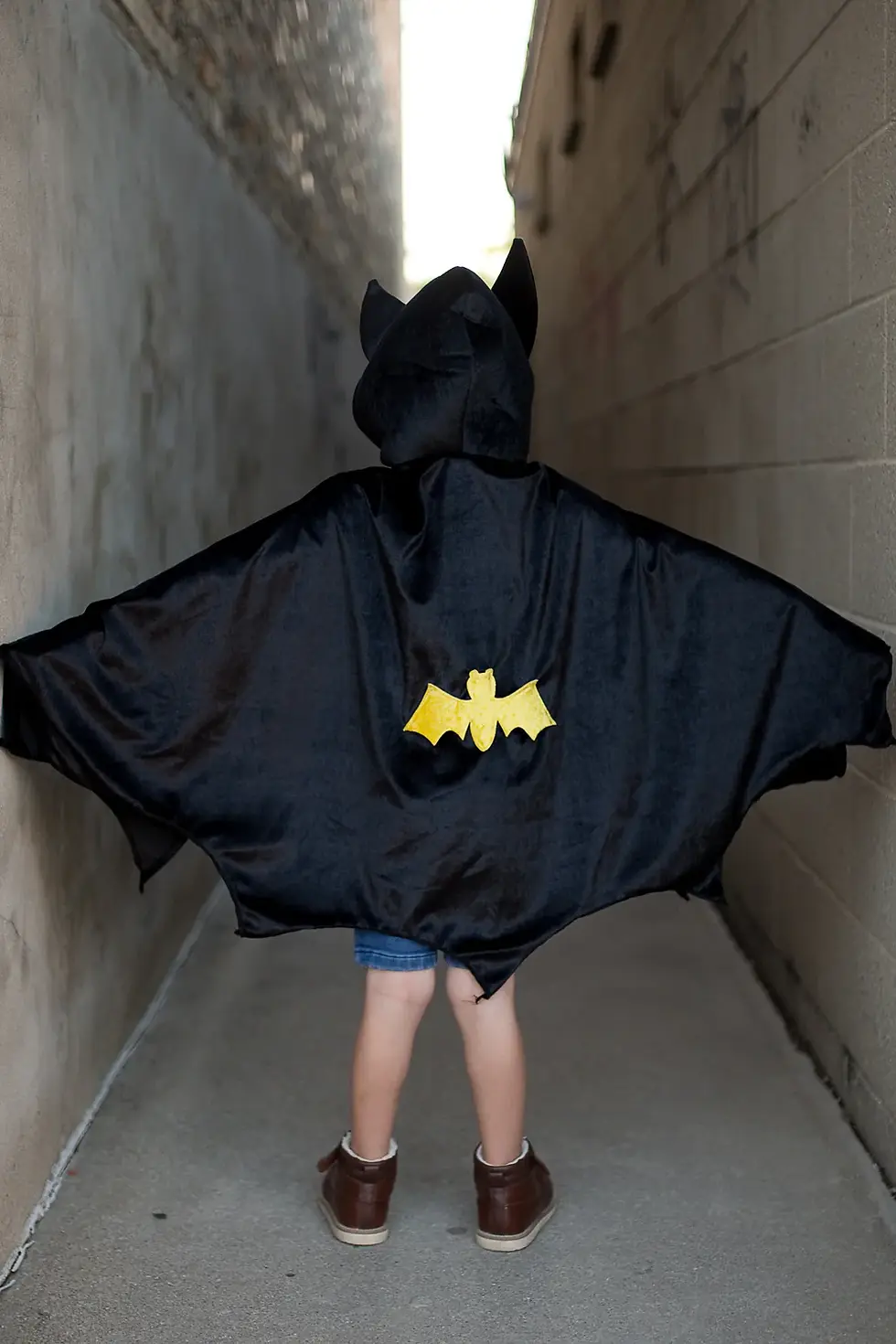 Thumbnail: Reversible Spider/Bat Cape & Mask