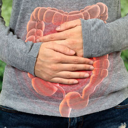 腸内細菌と仲良くする