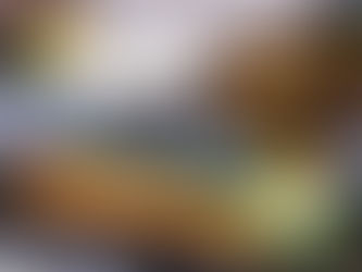 不安をごはんで丸くする