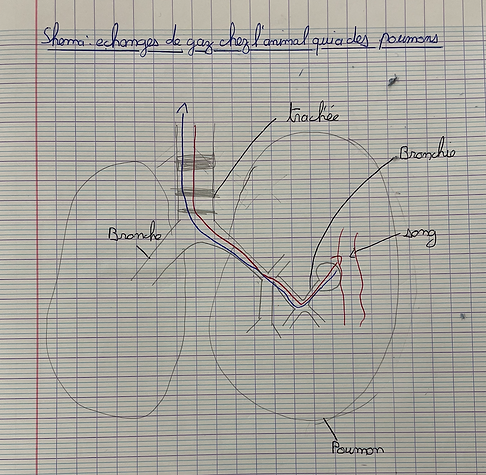 Capture d’écran 2026-04-23 à 09.16.25.png