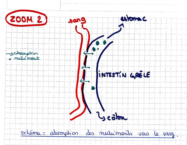 Capture d’écran 2025-06-11 à 16.29.23.png