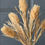Thumbnail: 14” Amber Waves Pick  - F00147
