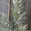 Thumbnail: Snowy Fir Greenery Spray  - F00384