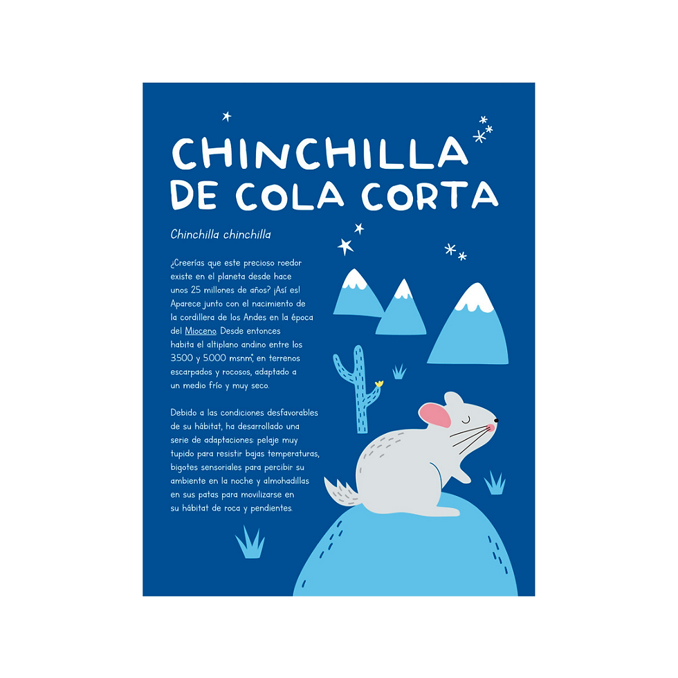Miniatura: ¡DE AQUÍ SOMOS!