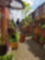Stronger Communities Grants - Upping It.jpg