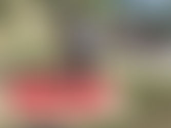 Meet Our Crew: Battalion Chief Brent McClellan