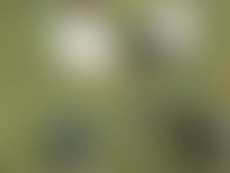 Evaluating Long-Term Impacts of TTRPG Participation on Mental Health Among Veterans and First Responders