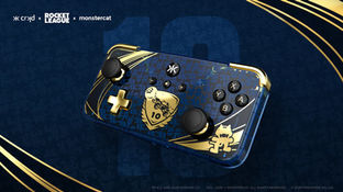 RL Anniversary Controller