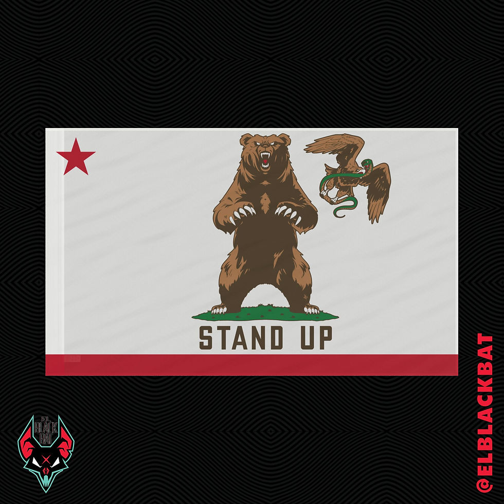 Thumbnail: Stand UP Big Flag