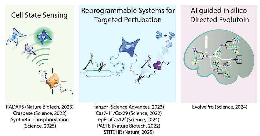 Research themes of Jiang lab