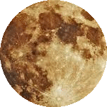imageedit_132_5068817976.gif