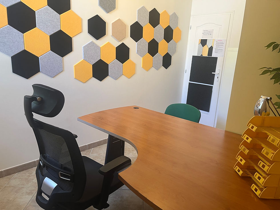 Bureau professionnel en location temps plein à Saint Maximin