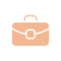 noun_Briefcase_693697 (2).png
