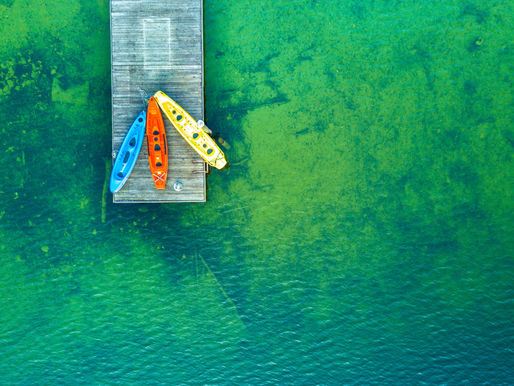 The Law of Thirds