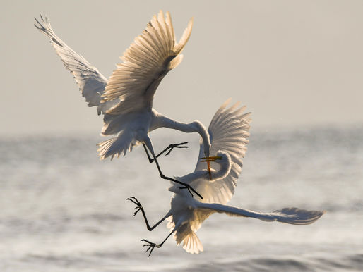 Why Workplace Conflict Can Be Healthy