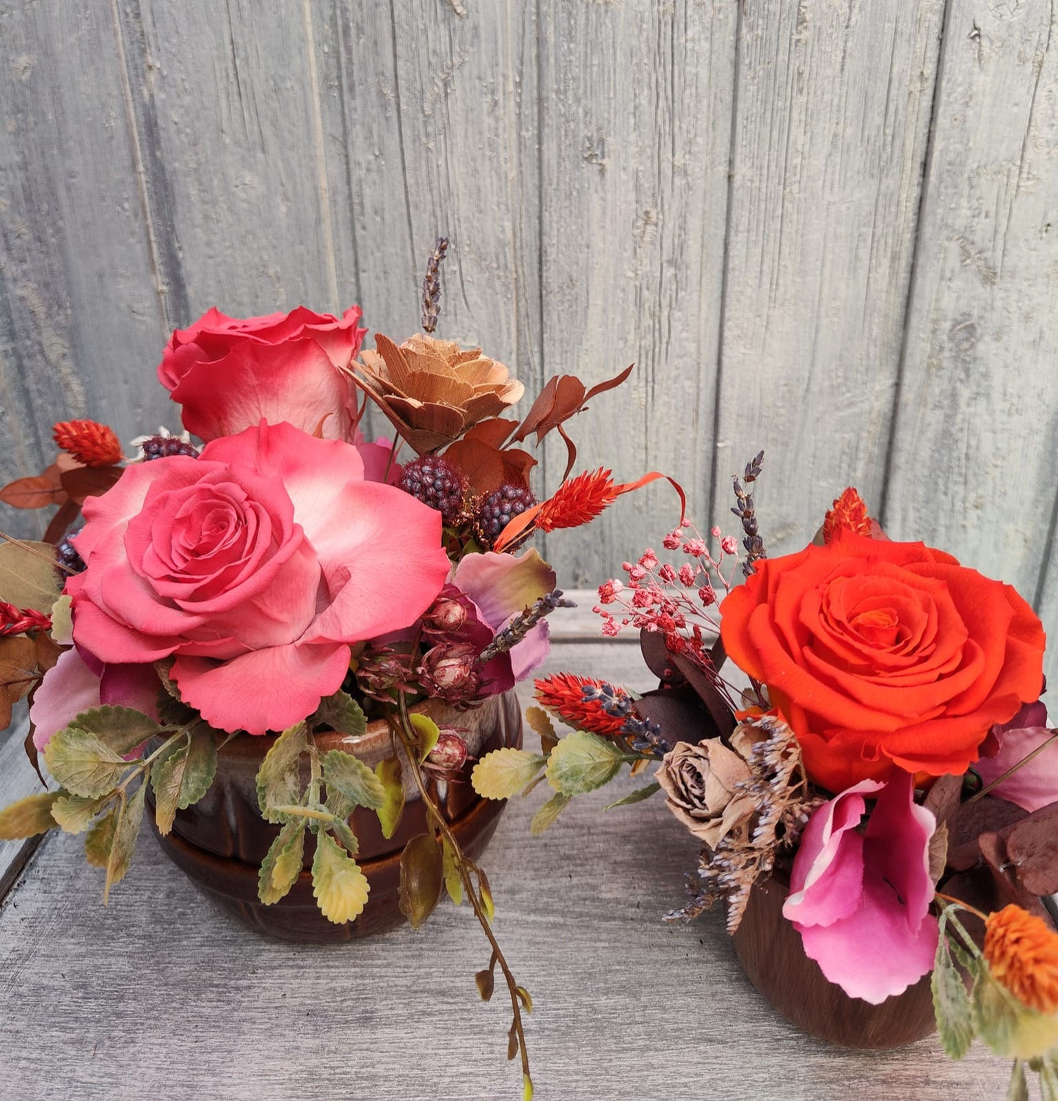 Composizioni in vasi Browny (€25/72)