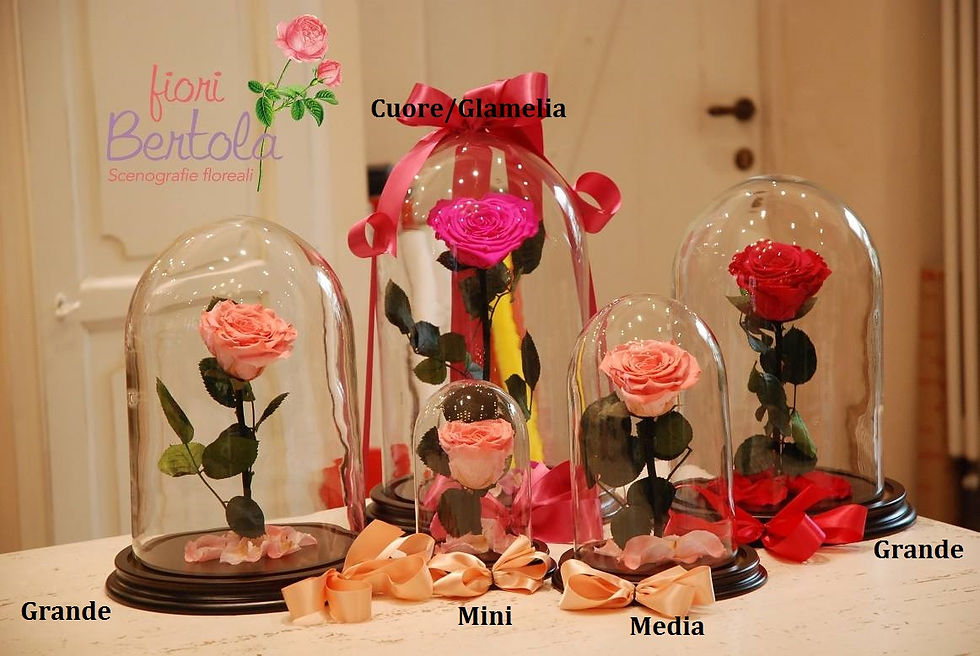 Miniatura: Rosa Incantata mini (€38)