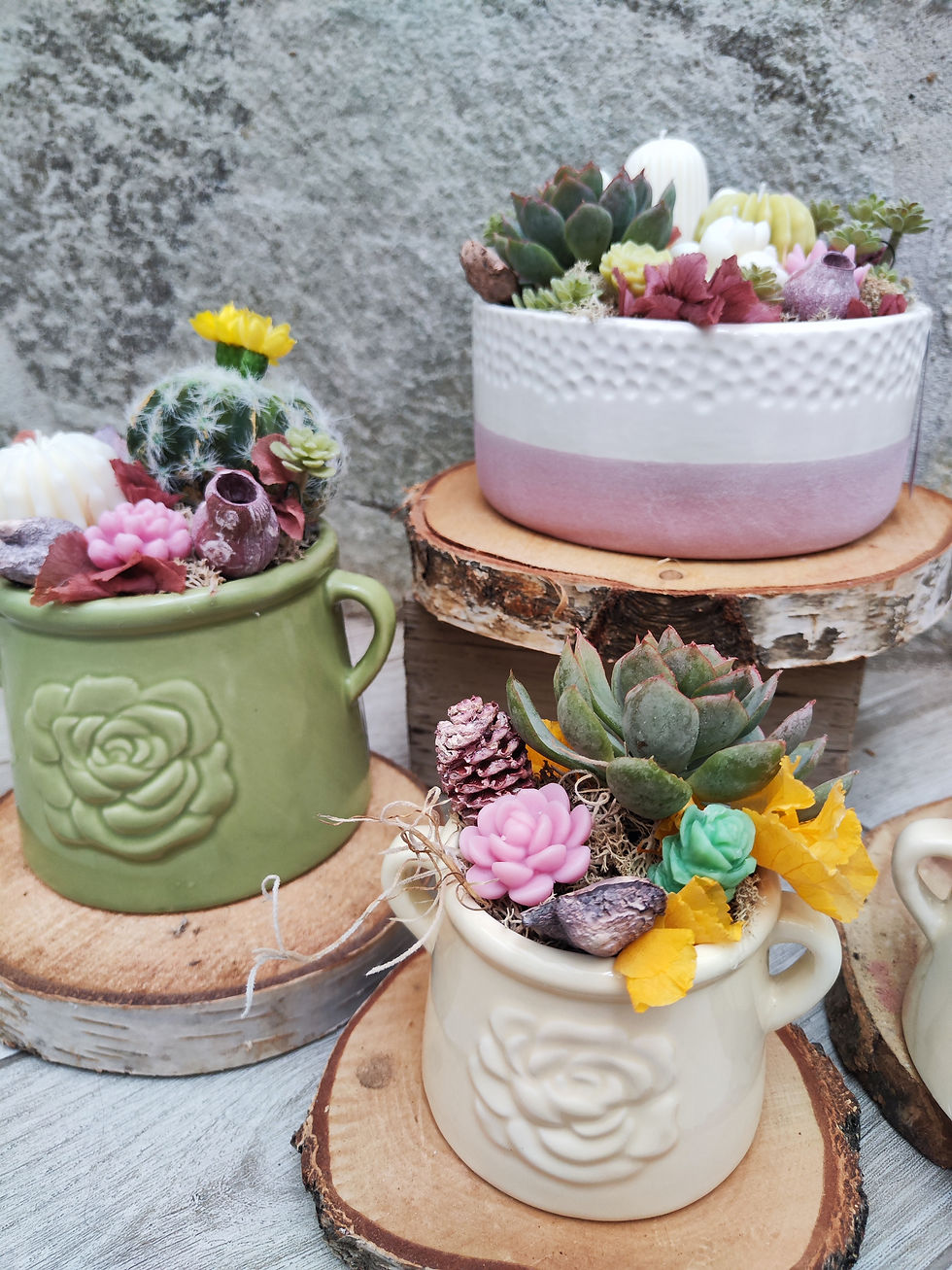 Miniatura: Composizioni con candele piante grasse(€18/78)