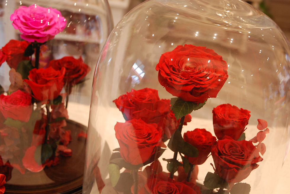 Miniatura: Garden of Roses - Luxury Edition