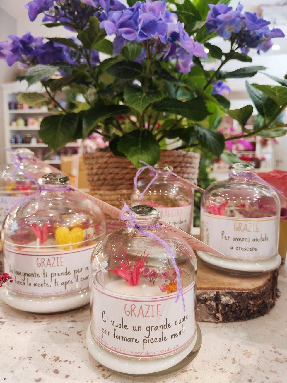 Miniatura: Candele Botaniche per Insegnanti (€28/82)