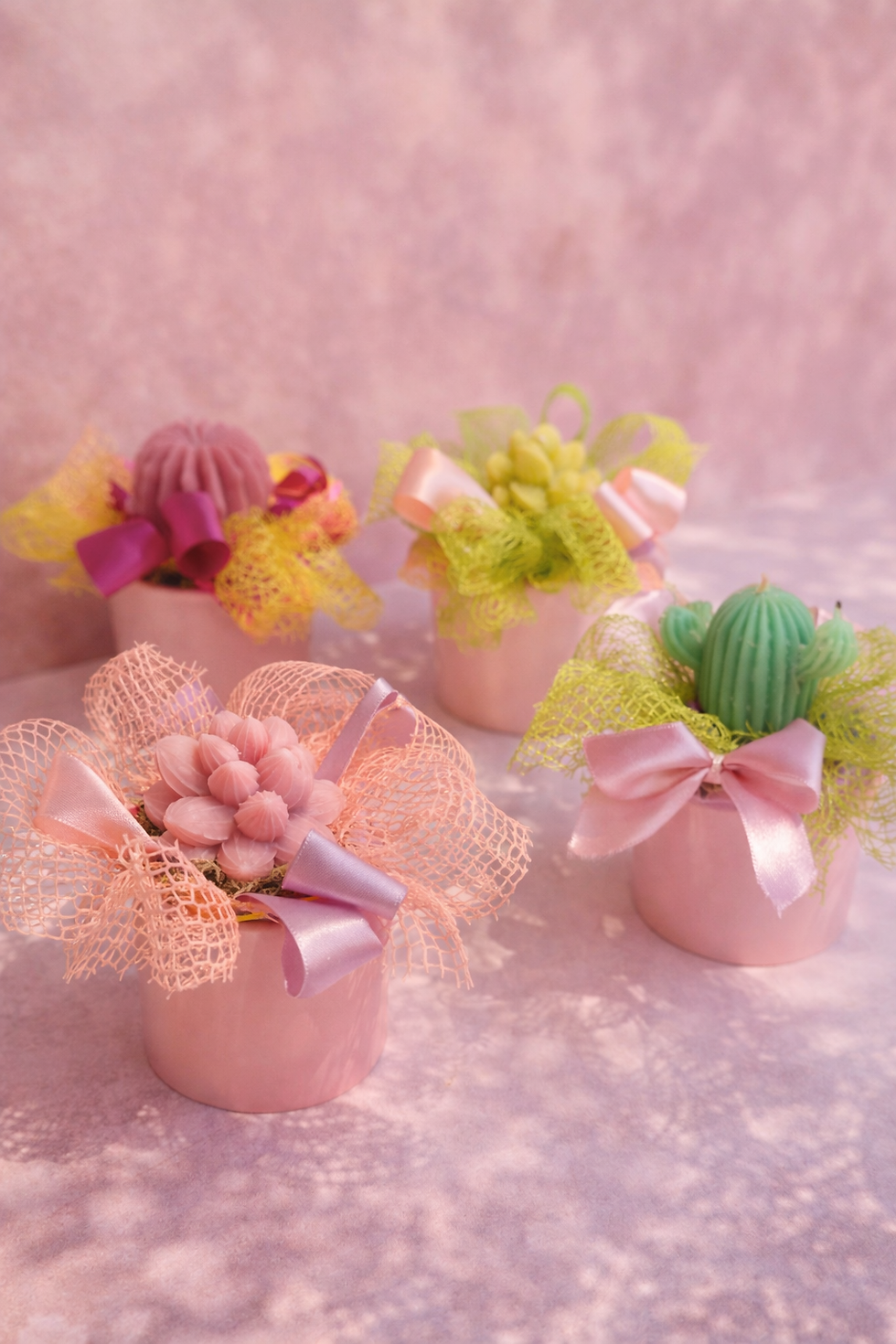 Miniatura: Candele pasqualine (€12/29)