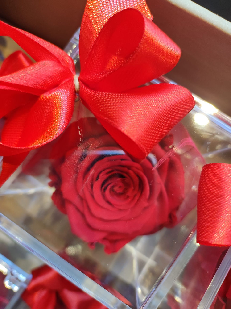 Miniatura: RoseAmor con rosa stabilizzate (€15/25)