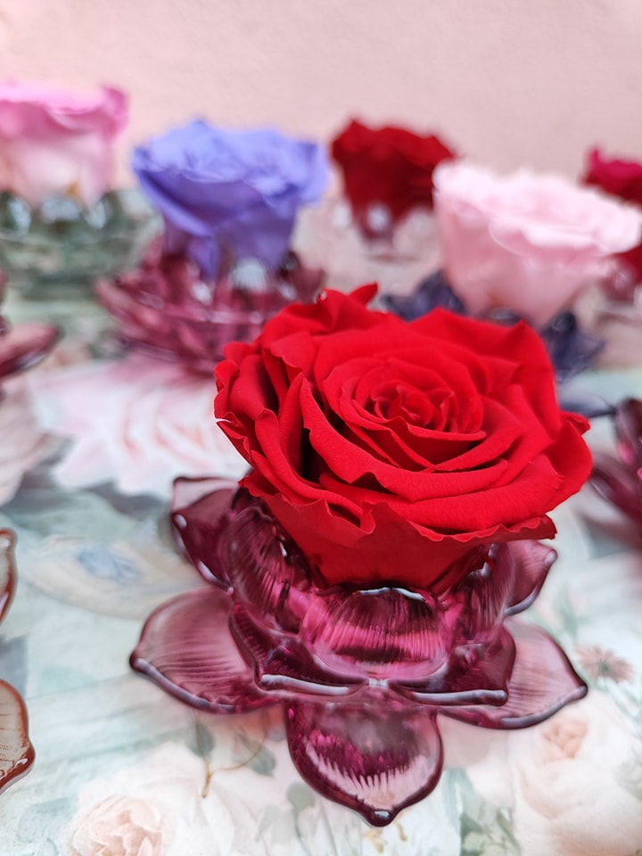 Miniatura: Fiori di cristallo con 1 rosa stabilizzata (€22)