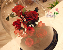 Rose rosse San Valentino