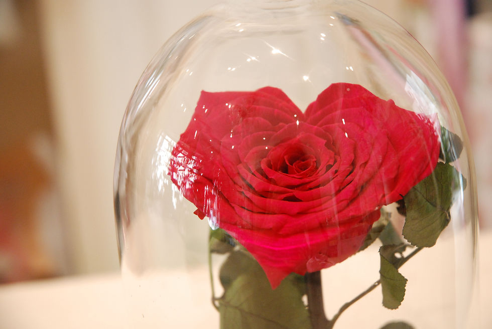 Miniatura: Rosa Incantata a cuore media (€98)