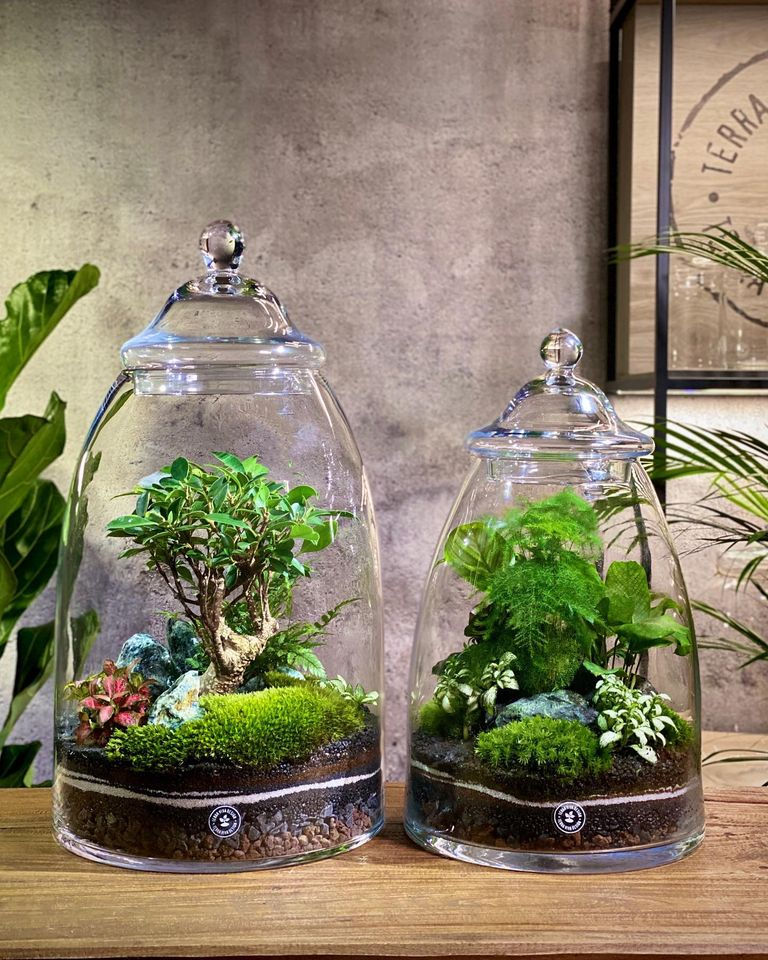 Miniatura: Terrari Luxury Wide e Vulcano (€220/325)