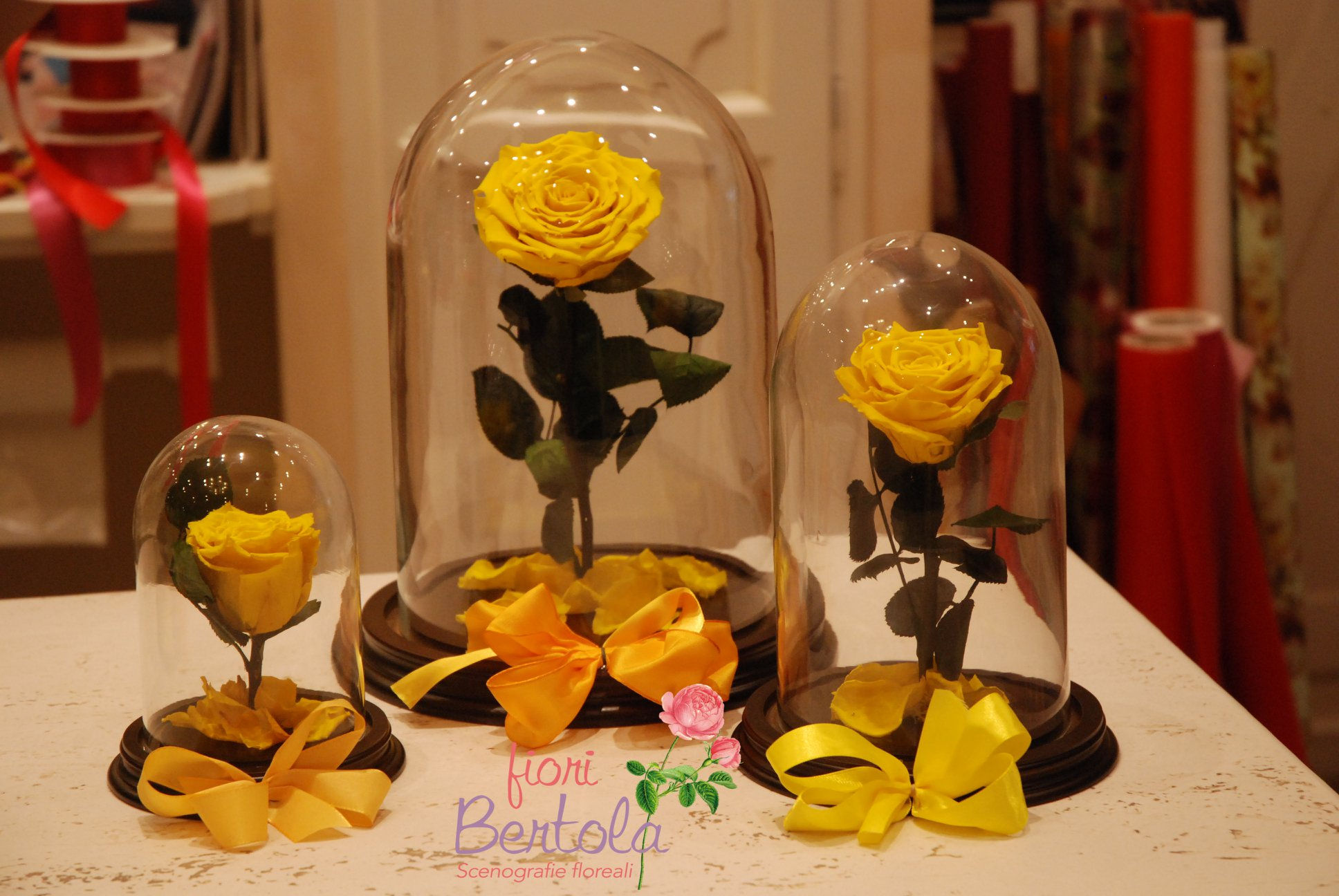 Rosa Incantata grande (€78)