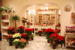 Interno negozio Natale