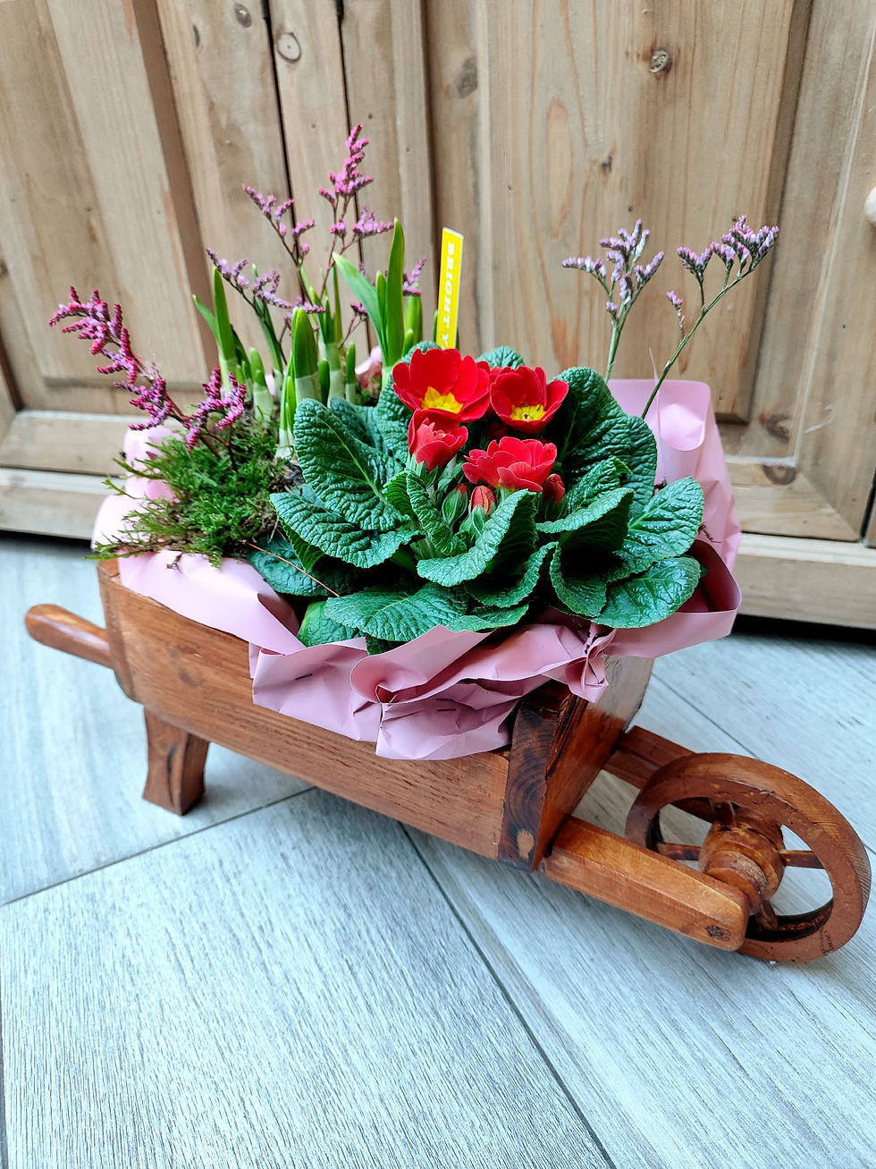 Miniatura: Mini-giardini fioriti da esterno (€15/55)
