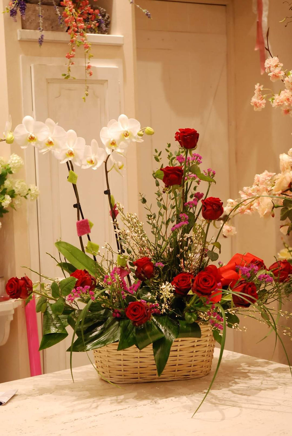 Miniatura: Orchidee Phalaenopsis in Love (€38/228)
