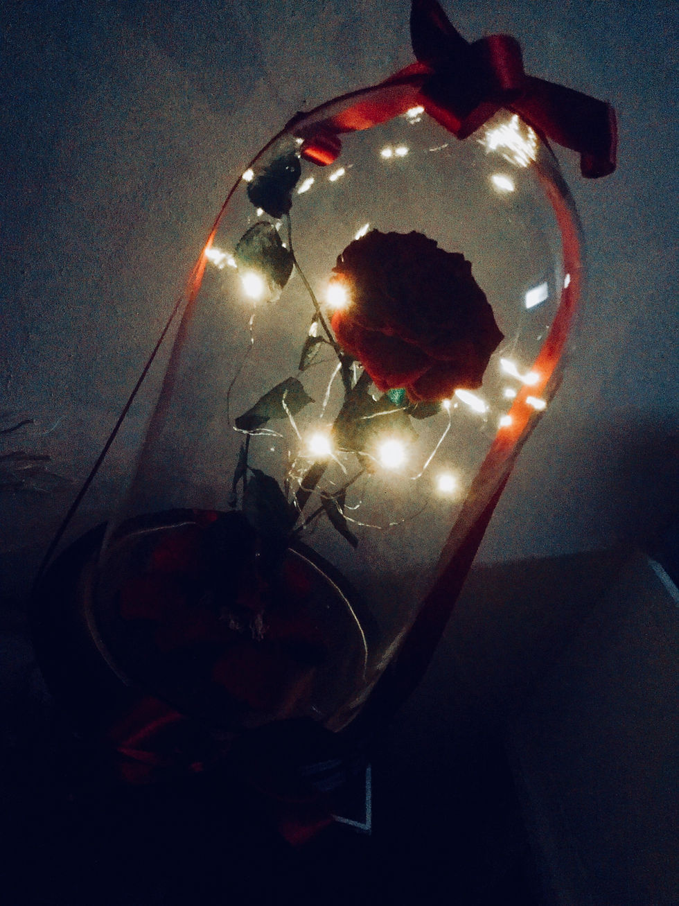 Miniatura: rosa con luci