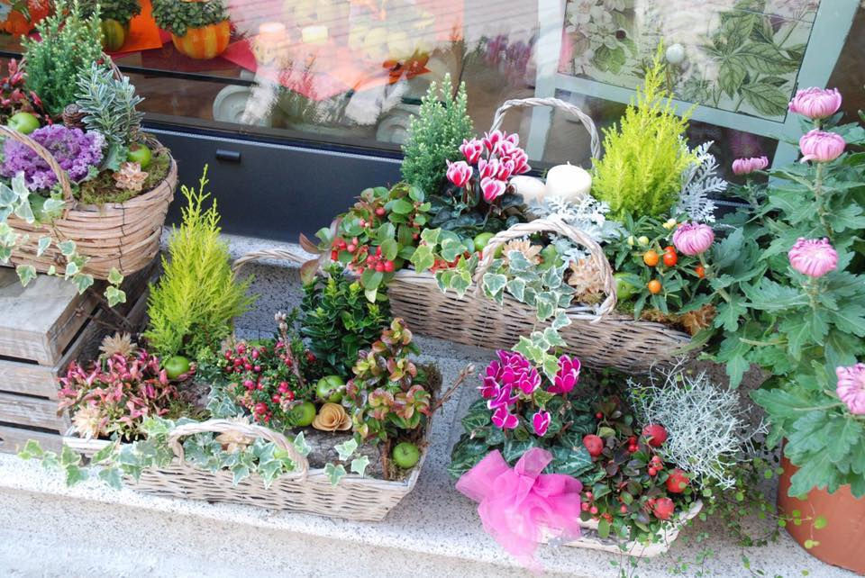Miniatura: Giardino della Memoria (€30/95)