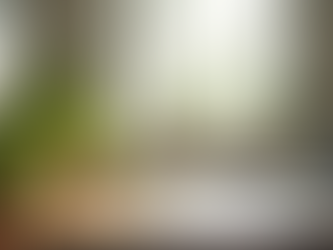 Essential Nervous System Tools for Regulation and Balance