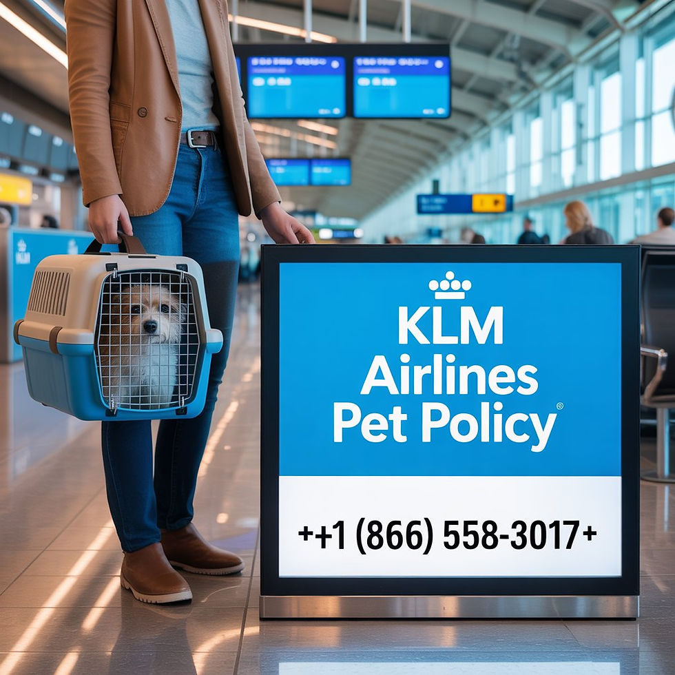 KLM Airlines Pet Policy: Complete Guide for Travelers