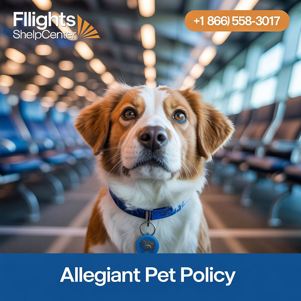 Allegiant Pet Policy: Your Complete Guide to Traveling with Pets