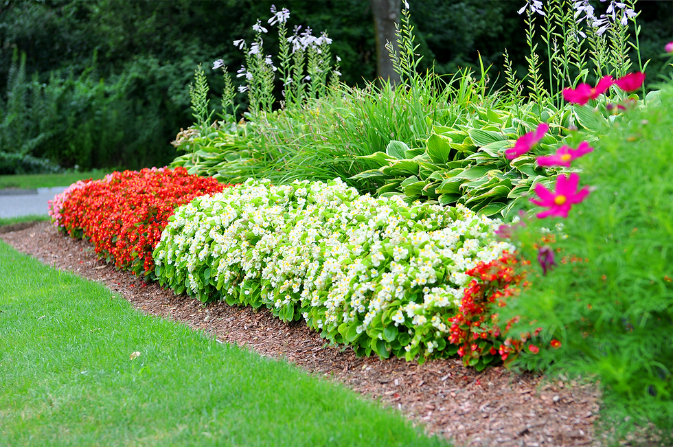 indresano_landscaping_garden.png