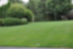 indresano_landscaping_lawn.jpg