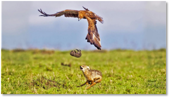 醫者仁心聖者慈心