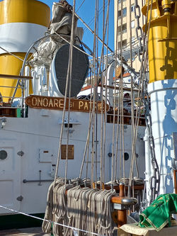 Le Mircea, détail (Sète,2022)