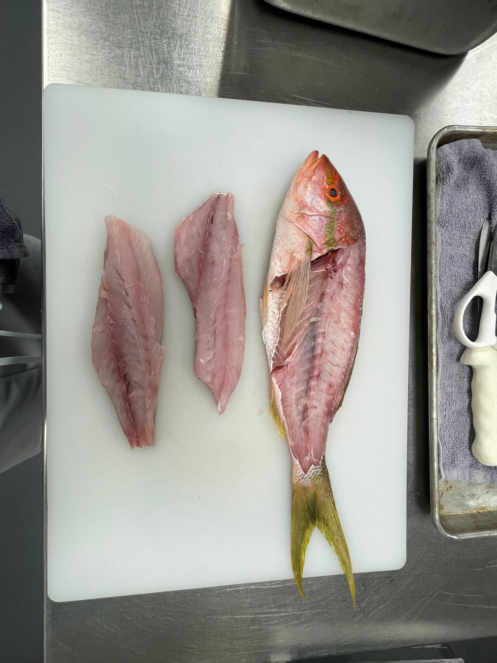 Yellowtail Fabrication