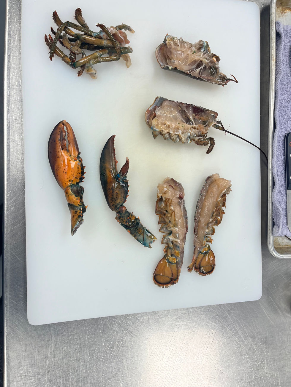 Lobster Fabrication