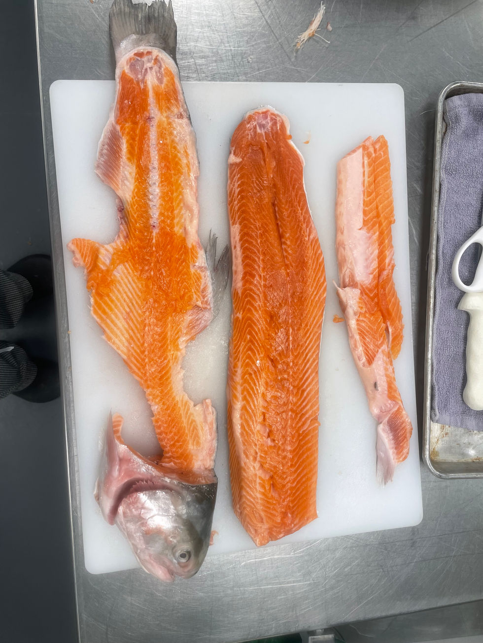 Trout Fabrication