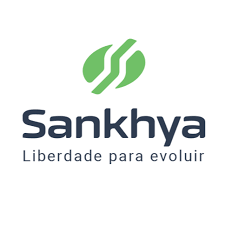 Consultoria especializada em ERP Sankhya OM para negócios estratégicos