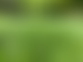 Organic lawn care